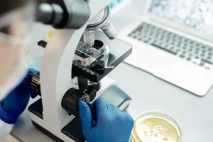 Investigador trabajando con microscopio en laboratorio (imagen ilustrativa genérica, banco de imágenes Pexels, foto: Edward Jenner)