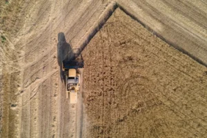 Cosechadora trabajando en un campo de cereales, vista aérea (banco de imágenes Pexels; foto: Bekir Umut Vural) — imagen ilustrativa genérica.