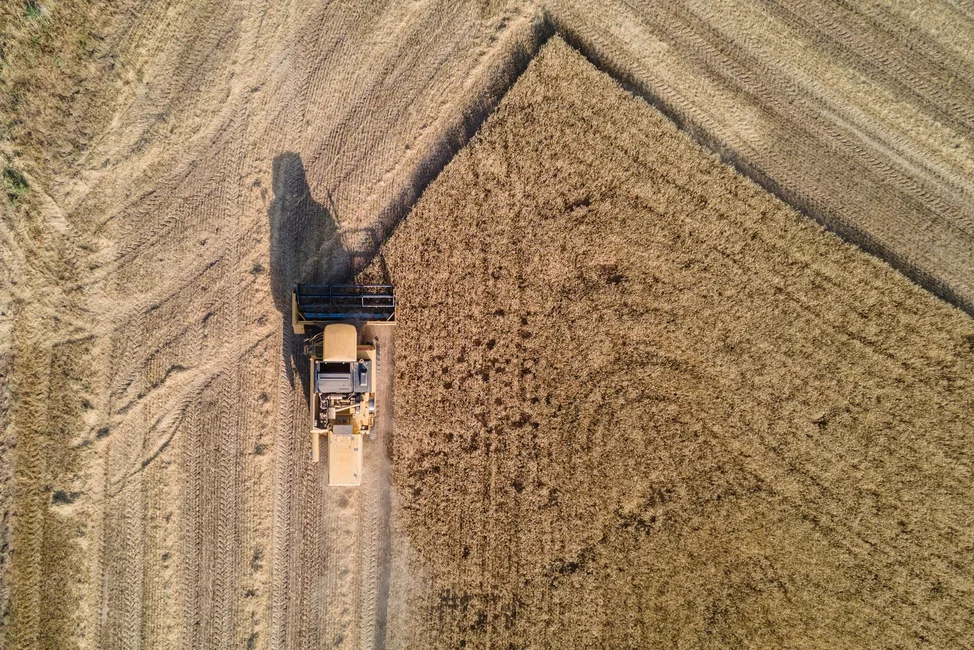 Cosechadora trabajando en un campo de cereales, vista aérea (banco de imágenes Pexels; foto: Bekir Umut Vural) — imagen ilustrativa genérica.