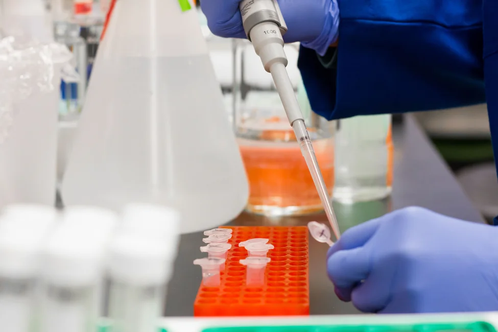 Foto ilustrativa genérica de un laboratorio de análisis genético (Pexels / Martin Lopez).