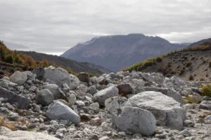 Paisaje de montaña y bosque de la Patagonia (imagen ilustrativa genérica de la región, no del sitio puntual de la plantación - banco de imágenes Pexels)