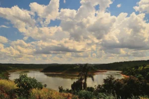 Costa del río Uruguay en la selva misionera (banco de imágenes Pexels; imagen ilustrativa genérica de la zona, no del predio puntual de la reserva)