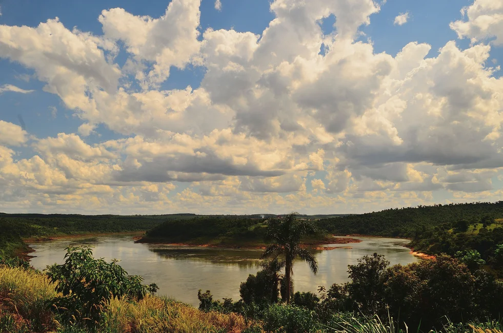 Costa del río Uruguay en la selva misionera (banco de imágenes Pexels; imagen ilustrativa genérica de la zona, no del predio puntual de la reserva)