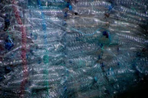 Botellas plásticas recolectadas para reciclar, apiladas y envueltas en red. Imagen genérica ilustrativa. Foto: Magda Ehlers / Pexels.