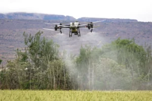 Dron agrícola fumigando un cultivo. Imagen ilustrativa genérica, no corresponde a la tecnología específica de DeepAgro, banco de imágenes Pexels (fotógrafa: Magda Ehlers).